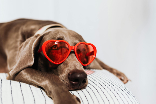 Using Coating Tech with Eyewear: Unveiling Future Glasses